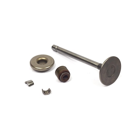 Briggs & Stratton VALVE, INTAKE 807680